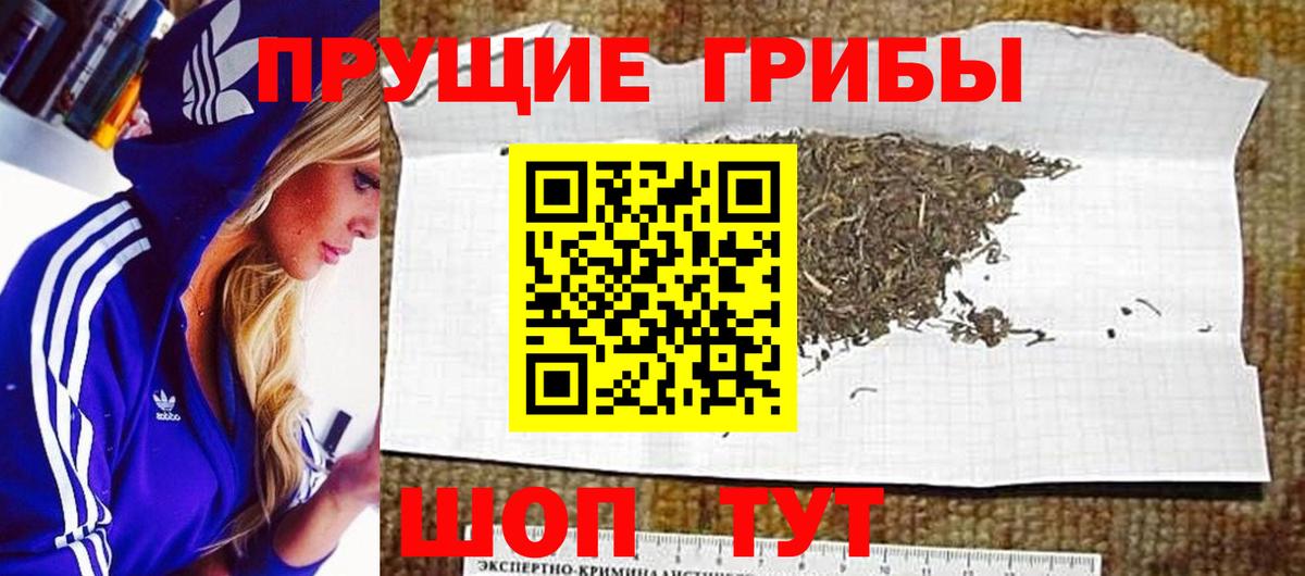 наркота  Псилоцибиновые грибы GOLDEN TEACHER  Карасук  Вход с VPN  Псилоцибиновые грибы Cubensis 