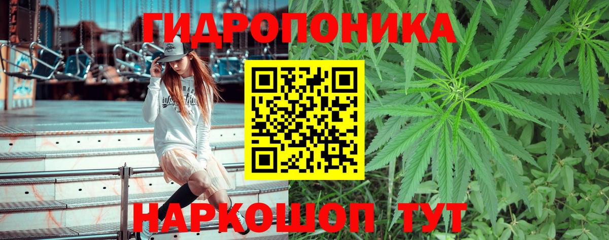 Канабис гибрид Карасук